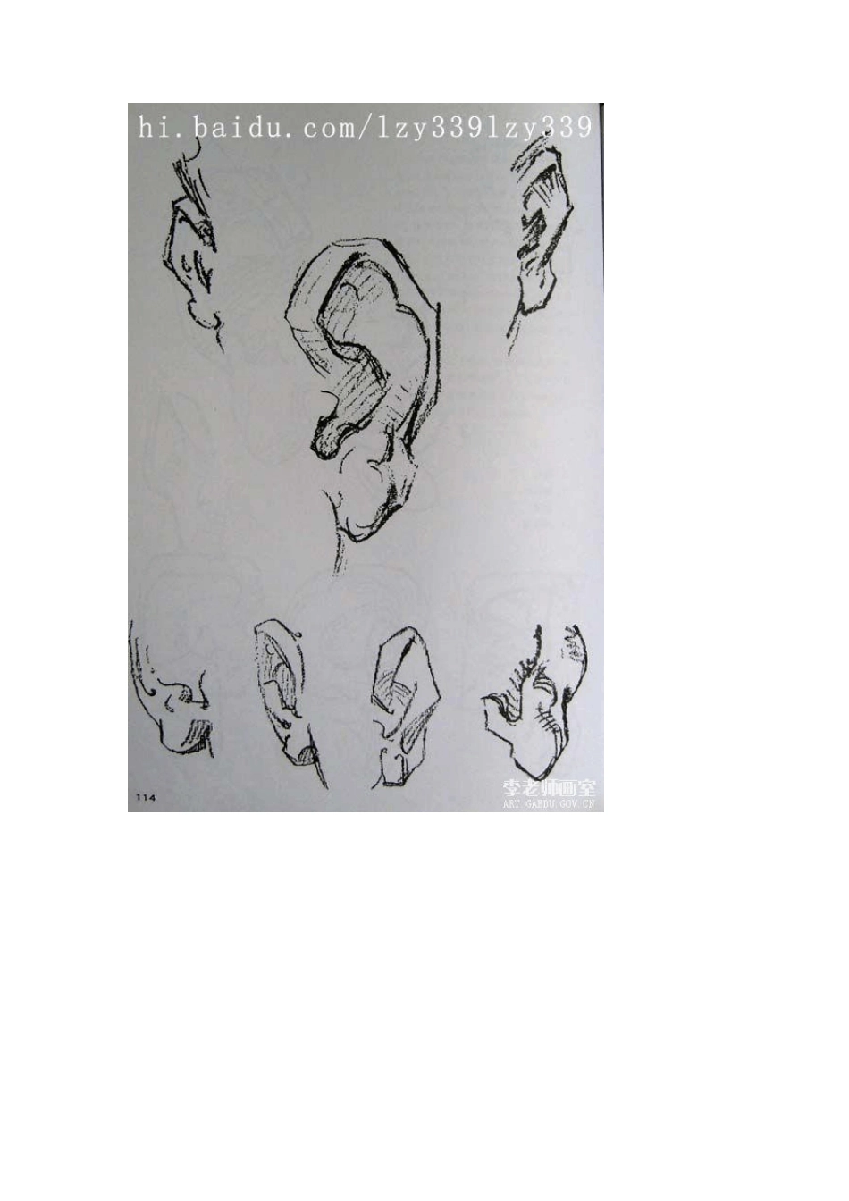 素描教程(三十一)石膏头像头部结构3_第3页