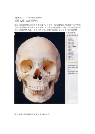 素描教程(三十二)石膏头像头部结构4