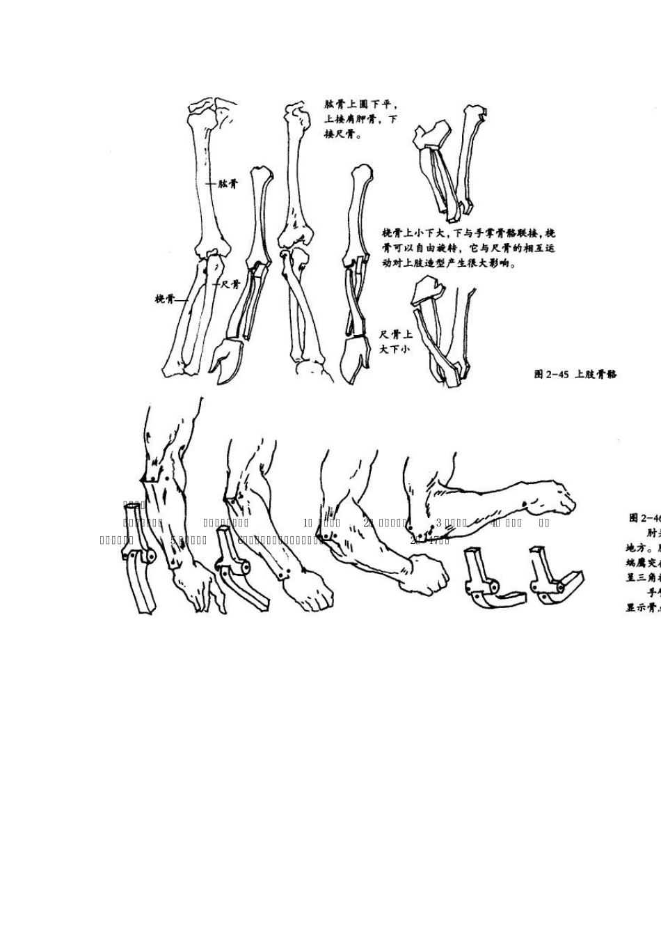 素描绘画上肢及手技巧及结构图_第2页