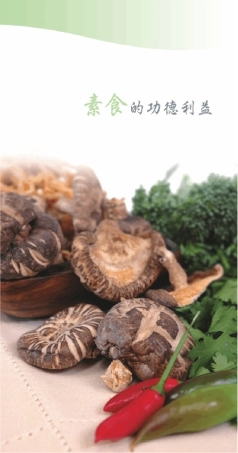 素食的功德利益