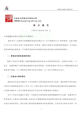 紫鑫药业：2009年年度审计报告20100203