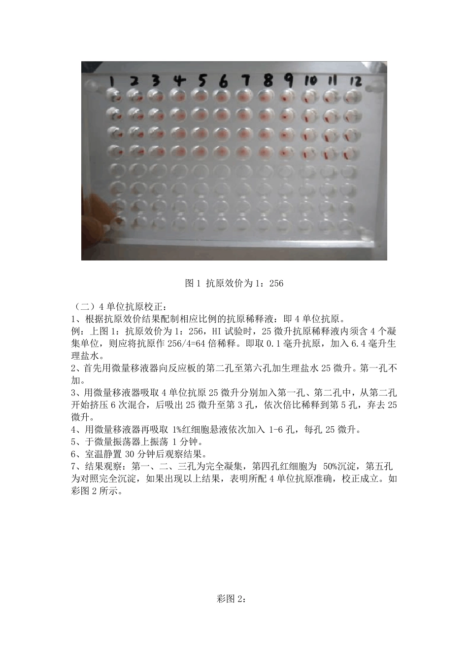 红细胞凝集试验(HA)与红细胞凝集抑制试验(HI)_第3页