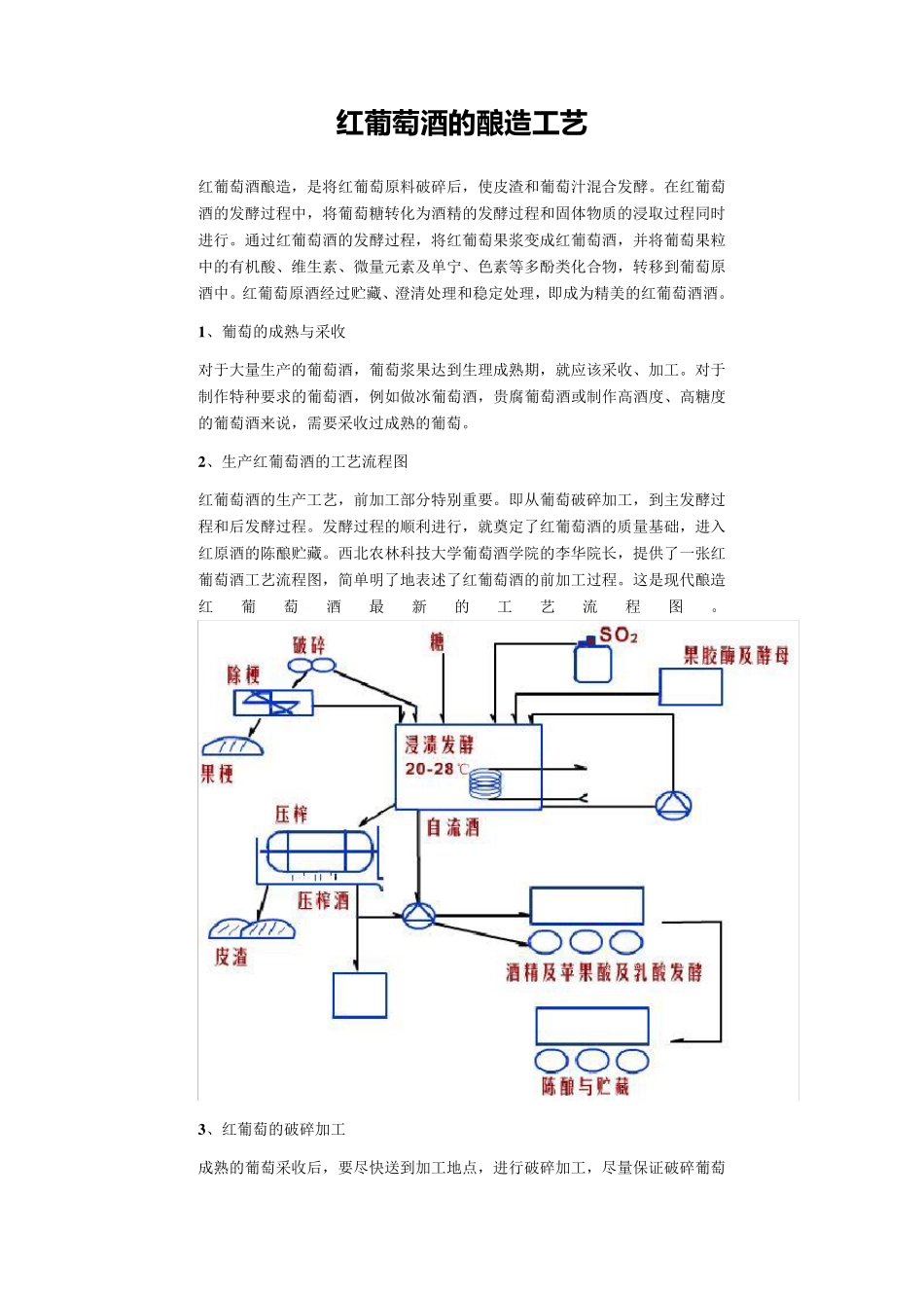 红葡萄酒的酿造工艺_第1页