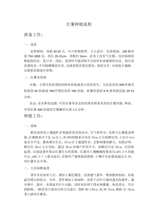 红薯种植流程