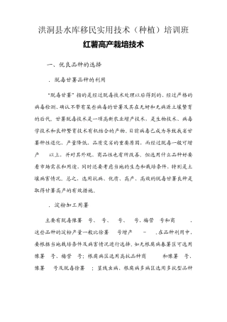 红薯高产栽培技术2