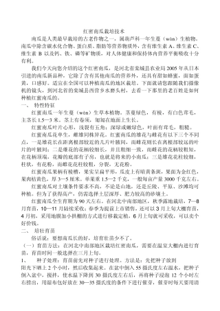 红蜜南瓜栽培技术