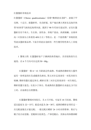 红螯螯虾养殖技术