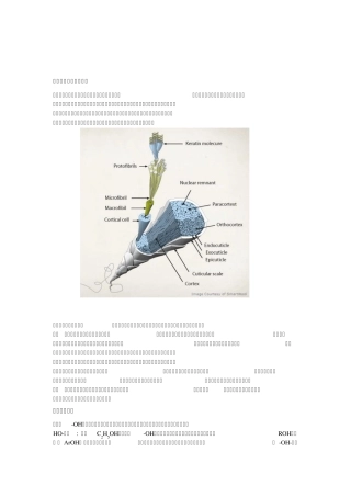 纤维化学与物理知识点