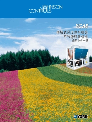 约克YCAE风冷模块