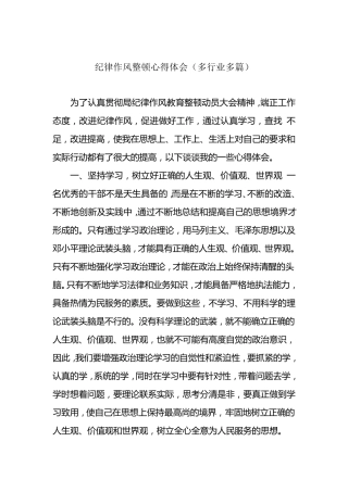 纪律作风教育整顿活动心得体会(多行业多篇)