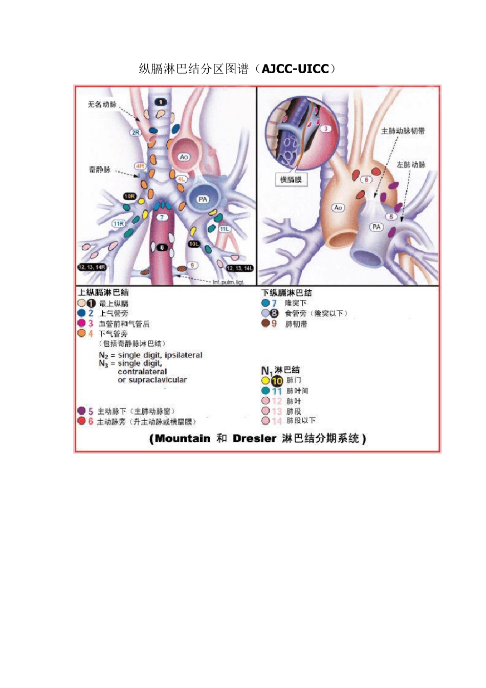 纵膈淋巴结分区最新版图谱_第1页
