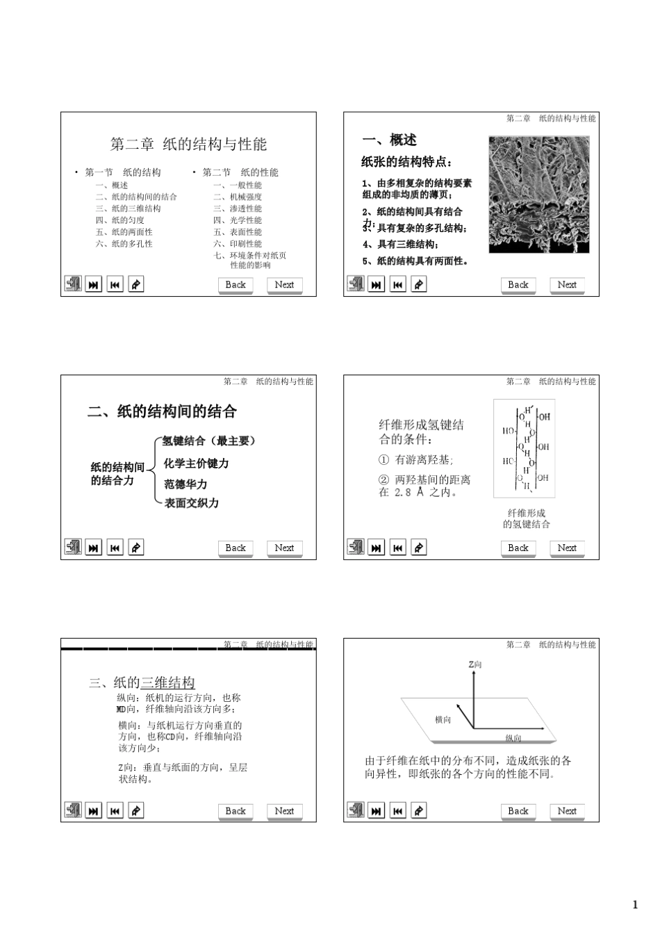 纸的结构与性能_第1页