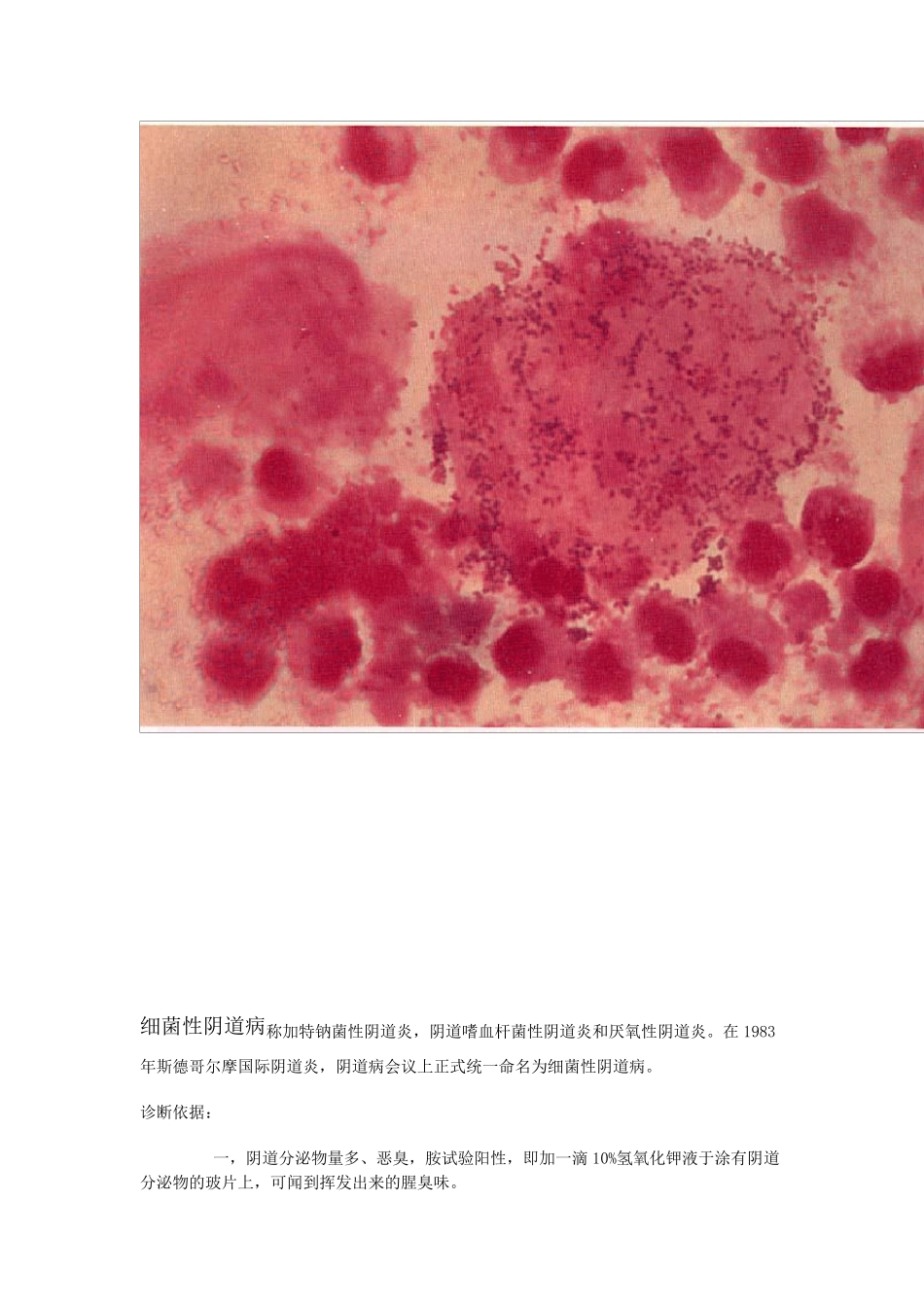 线索细胞图集_第2页