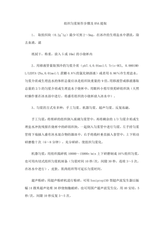 组织匀浆制作步骤及RNA提取