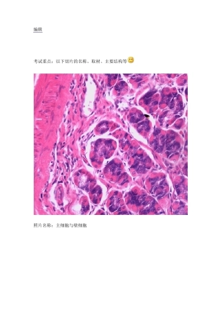 组织学与胚胎学实验组织切片的典型图片