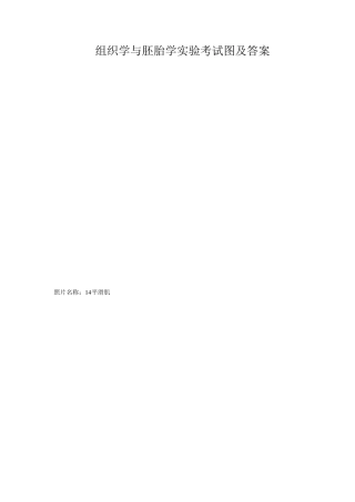 组织学与胚胎学实验考试图及答案!