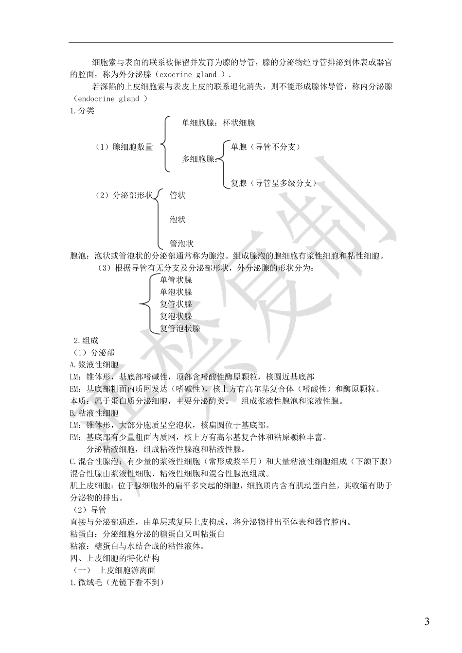 组织学与胚胎学笔记_第3页