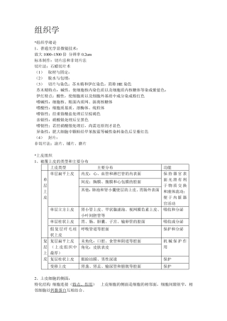 组织学与胚胎学重点归纳