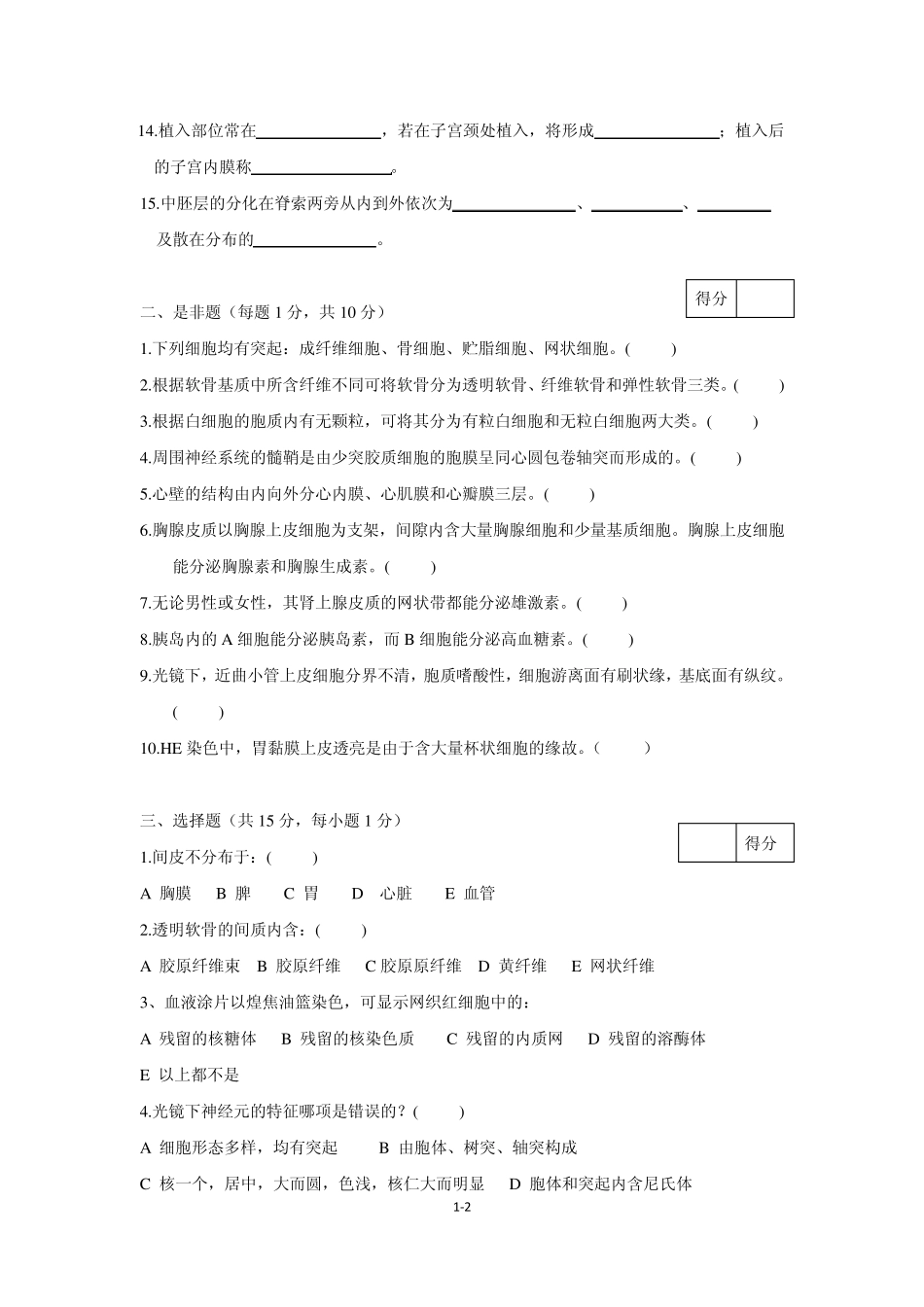 组织学与胚胎学题库整理_第2页