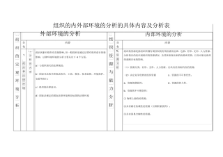 组织的内外部环境的分析的具体内容及分析表