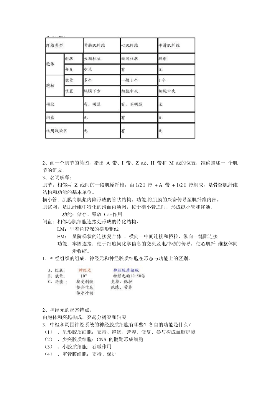 组胚重点整理_第2页
