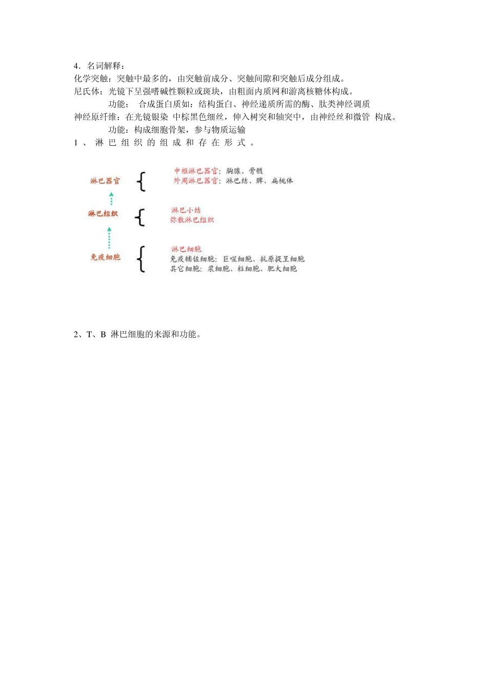 组胚重点整理_第3页