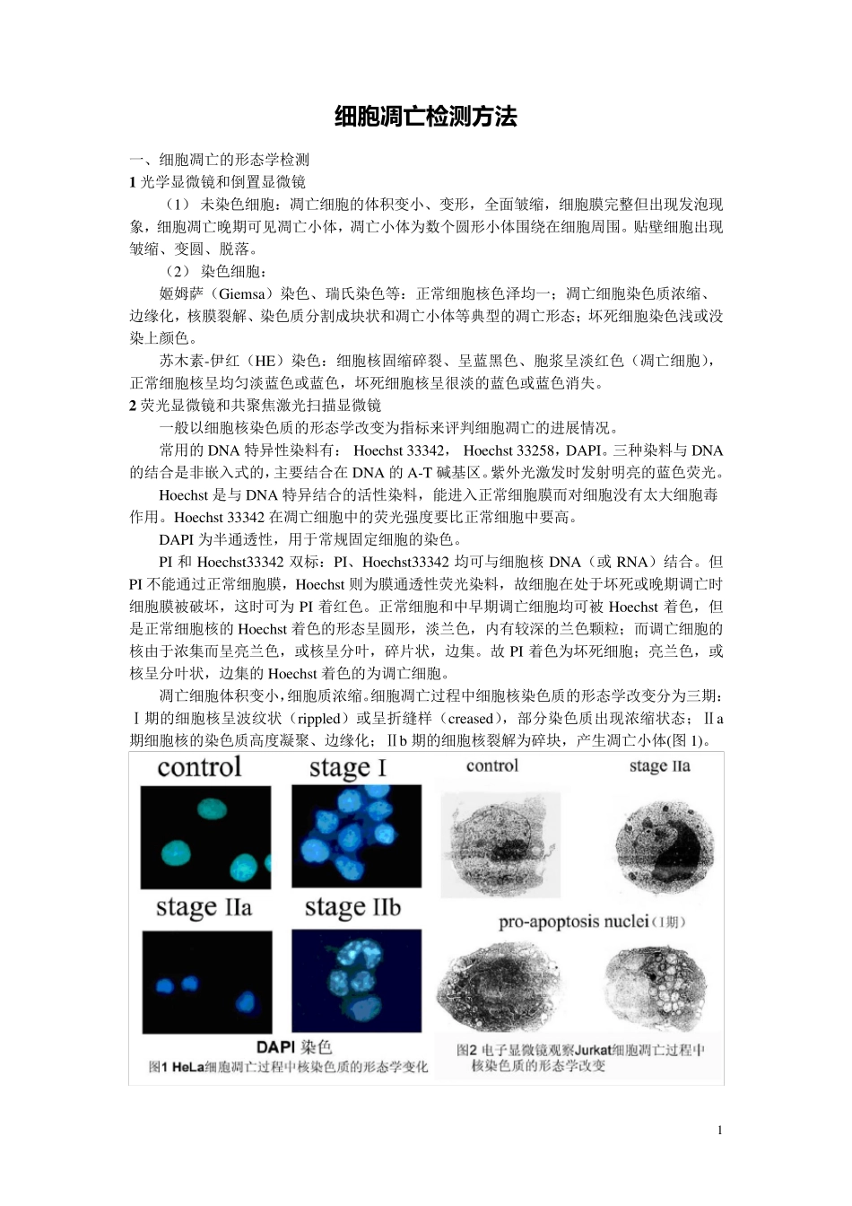 细胞凋亡检测方法_第1页