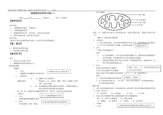 细胞器的结构和功能详解