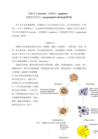 细胞坏死凋亡和细胞程序性死亡