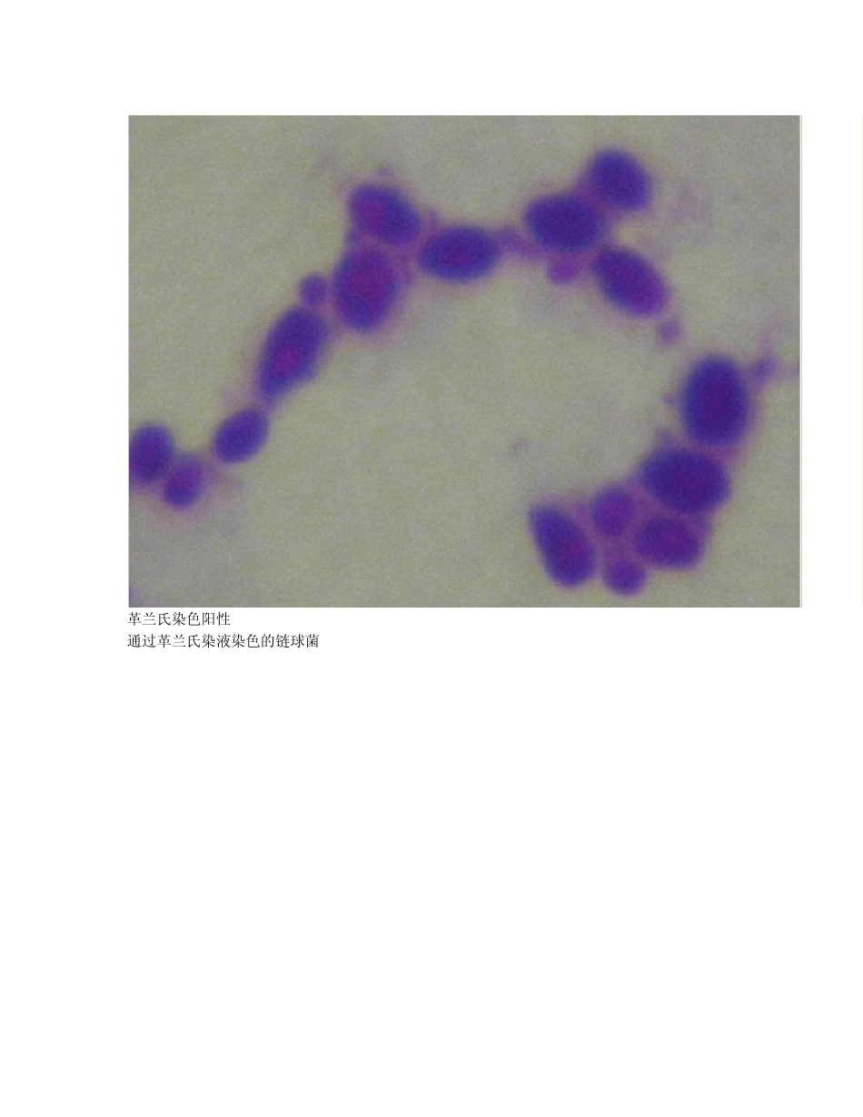细胞培养中污染的图片_第3页