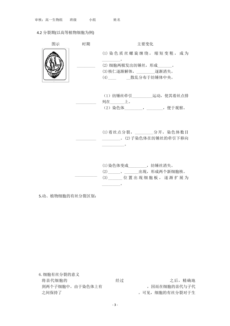 细胞增殖导学案_第3页