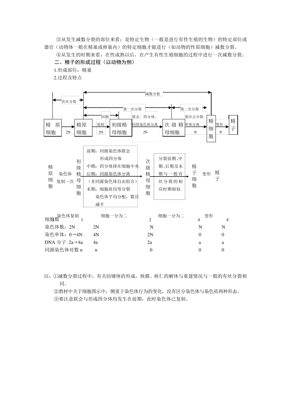 细胞增殖知识点总结_第2页