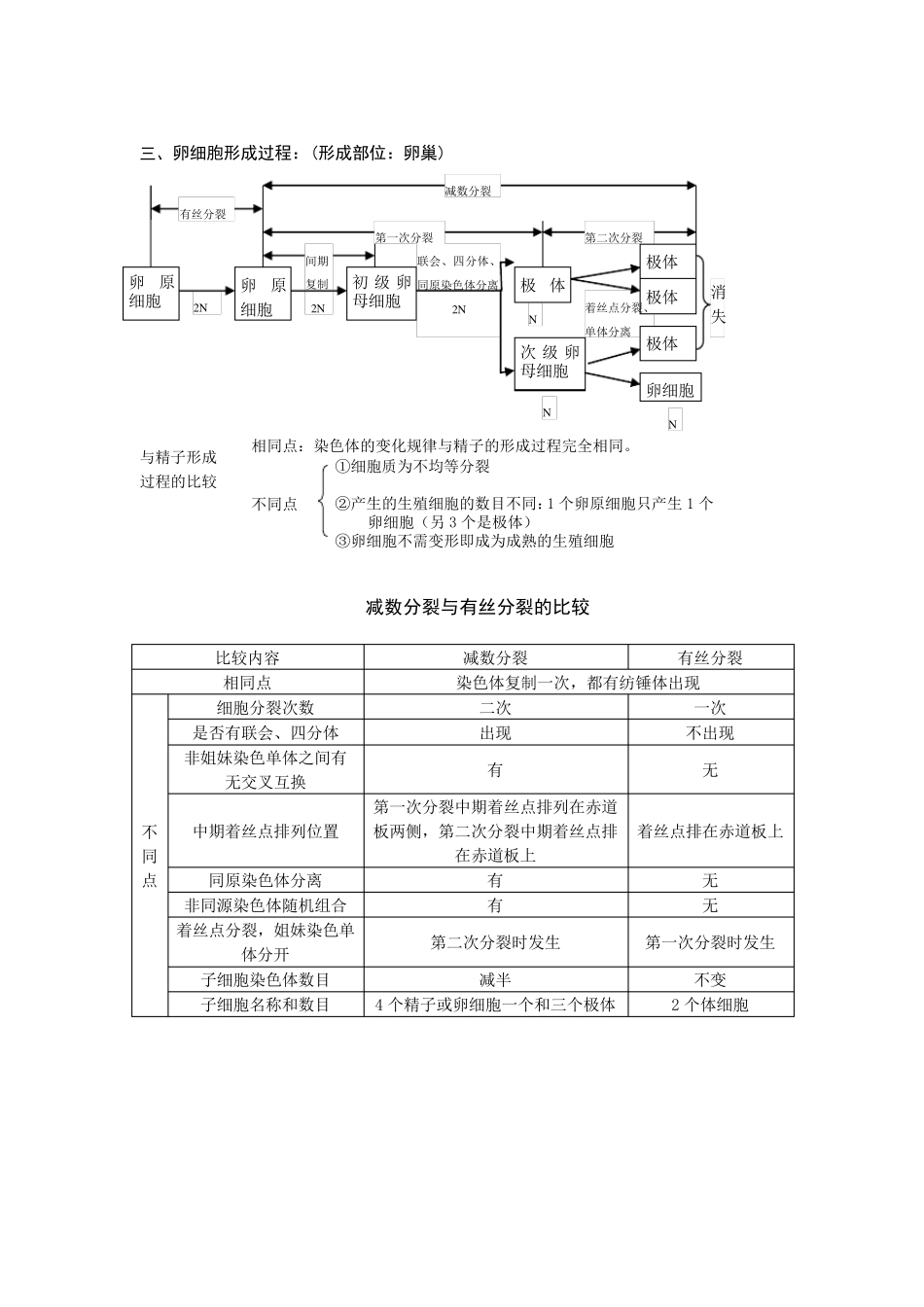 细胞增殖知识点总结_第3页