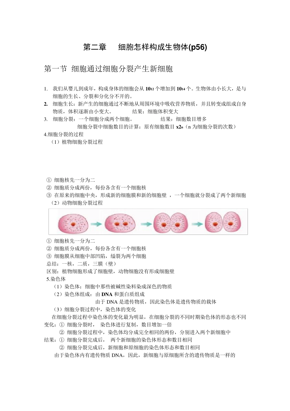 细胞怎样构成生物体复习知识点_第1页