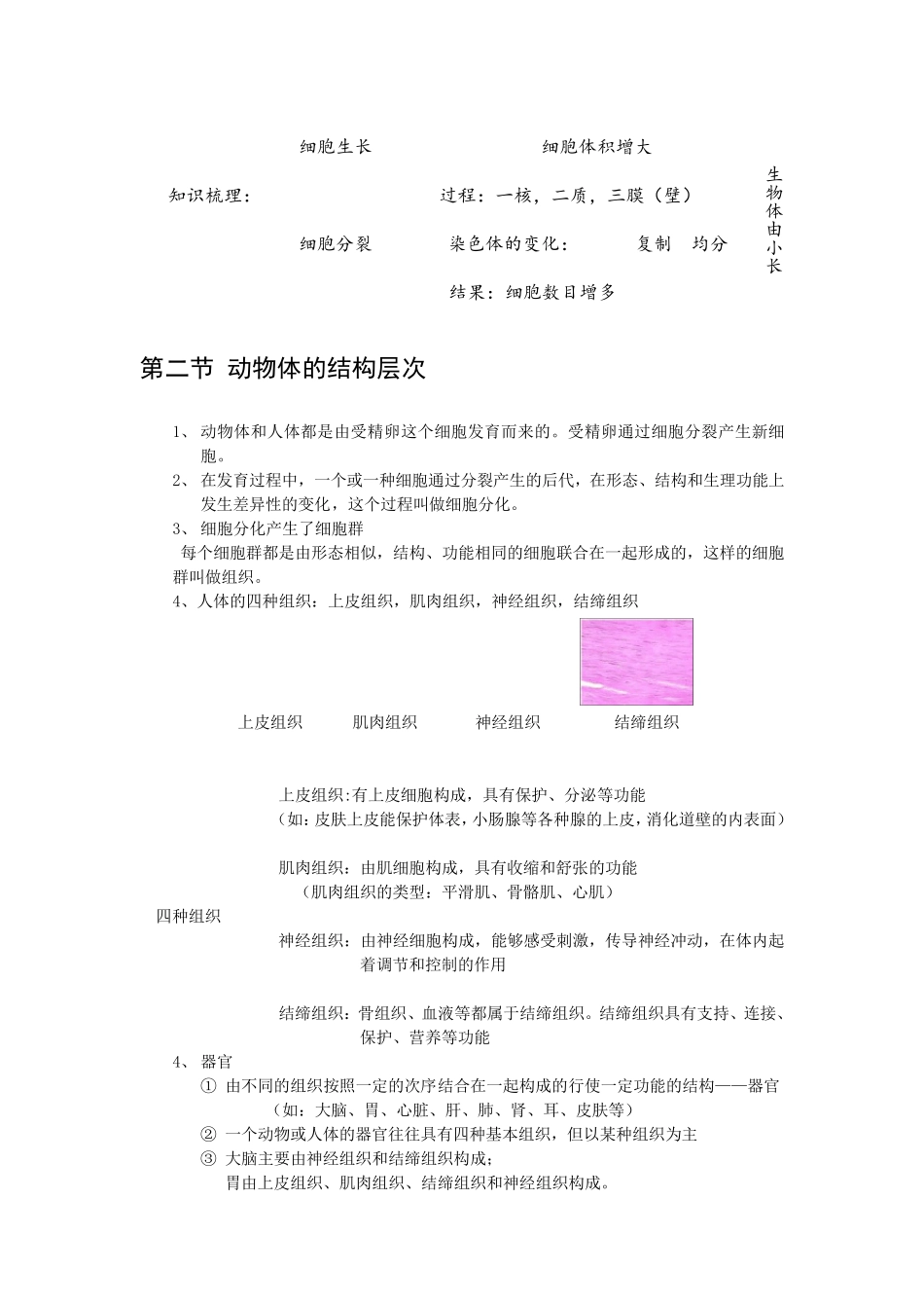 细胞怎样构成生物体复习知识点_第2页