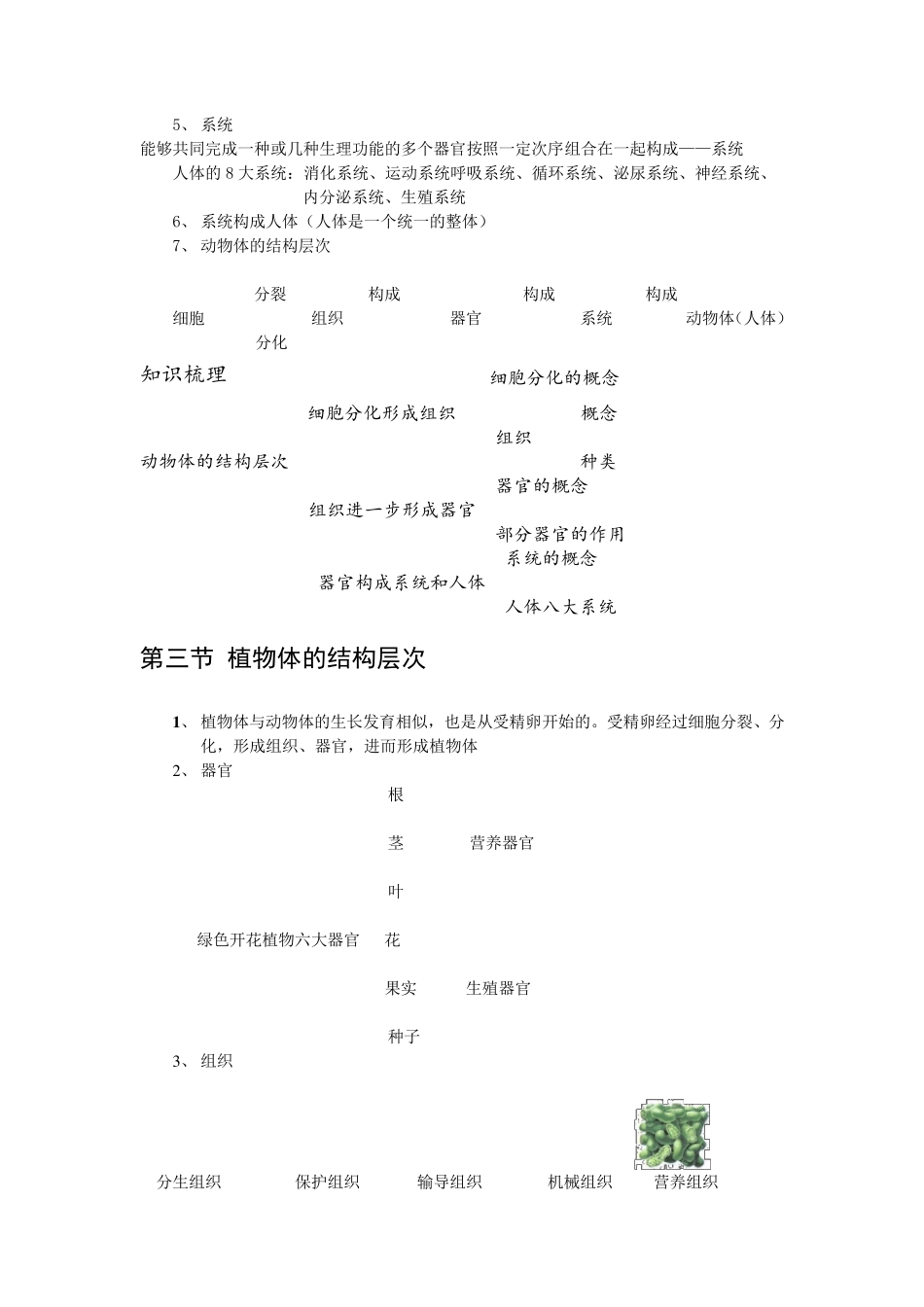 细胞怎样构成生物体复习知识点_第3页