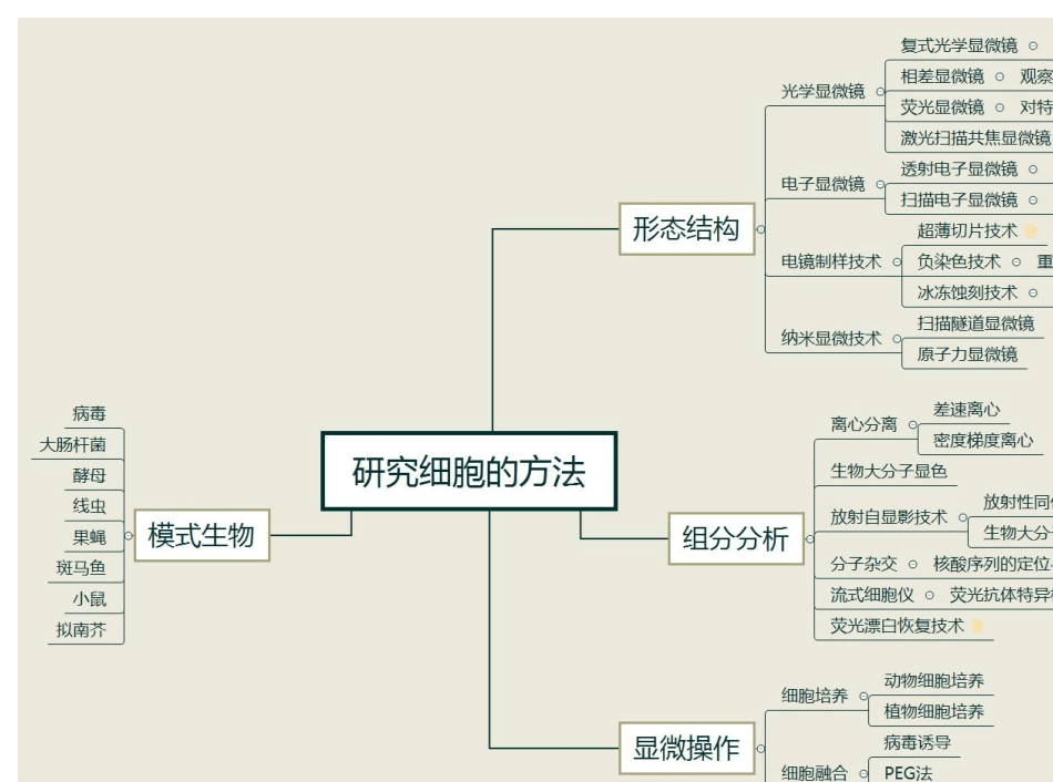 细胞生物学复习思维导图_第1页
