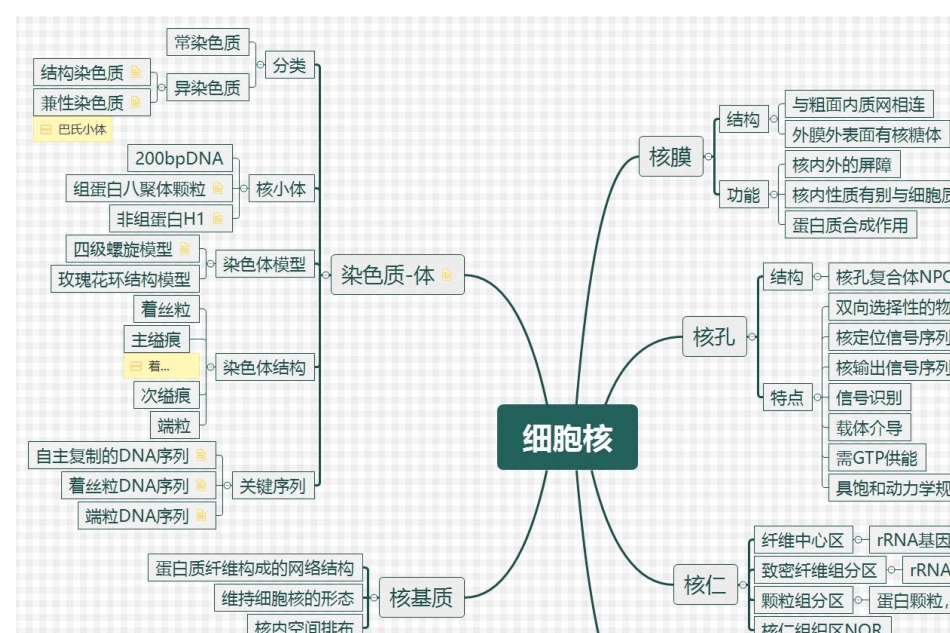 细胞生物学复习思维导图_第2页