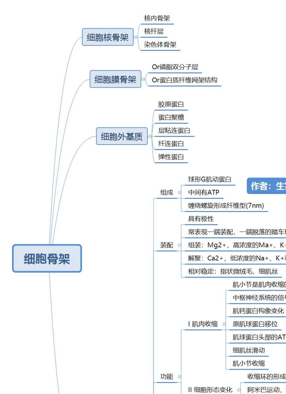 细胞生物学复习思维导图_第3页