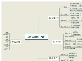 细胞生物学复习思维导图