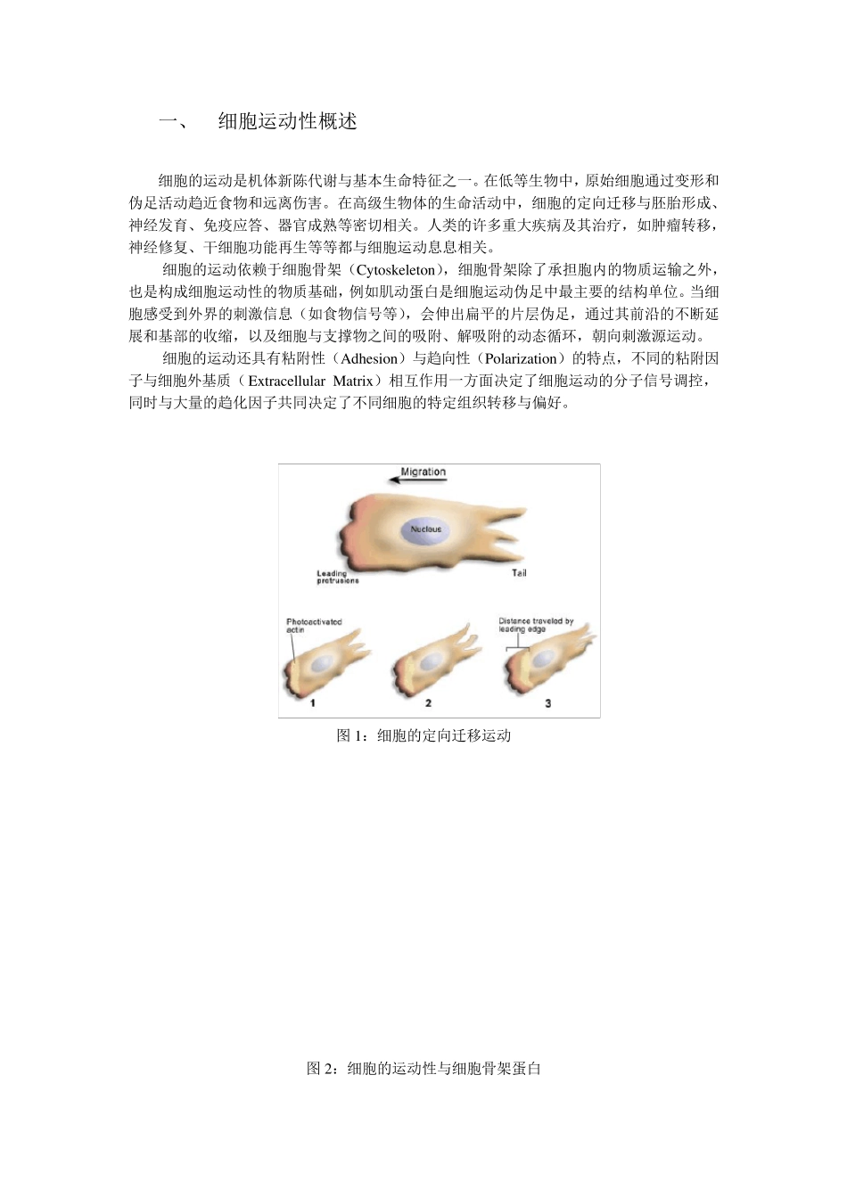 细胞生物学实验教程：细胞运动性检测实验详细介绍_第1页