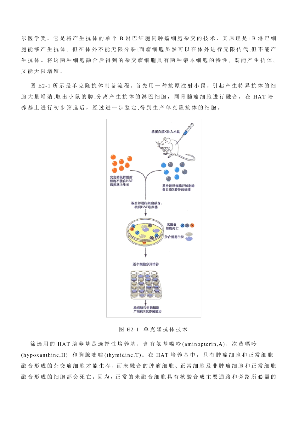 细胞生物学实验设计_第2页