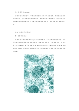 细胞生物学溶酶体