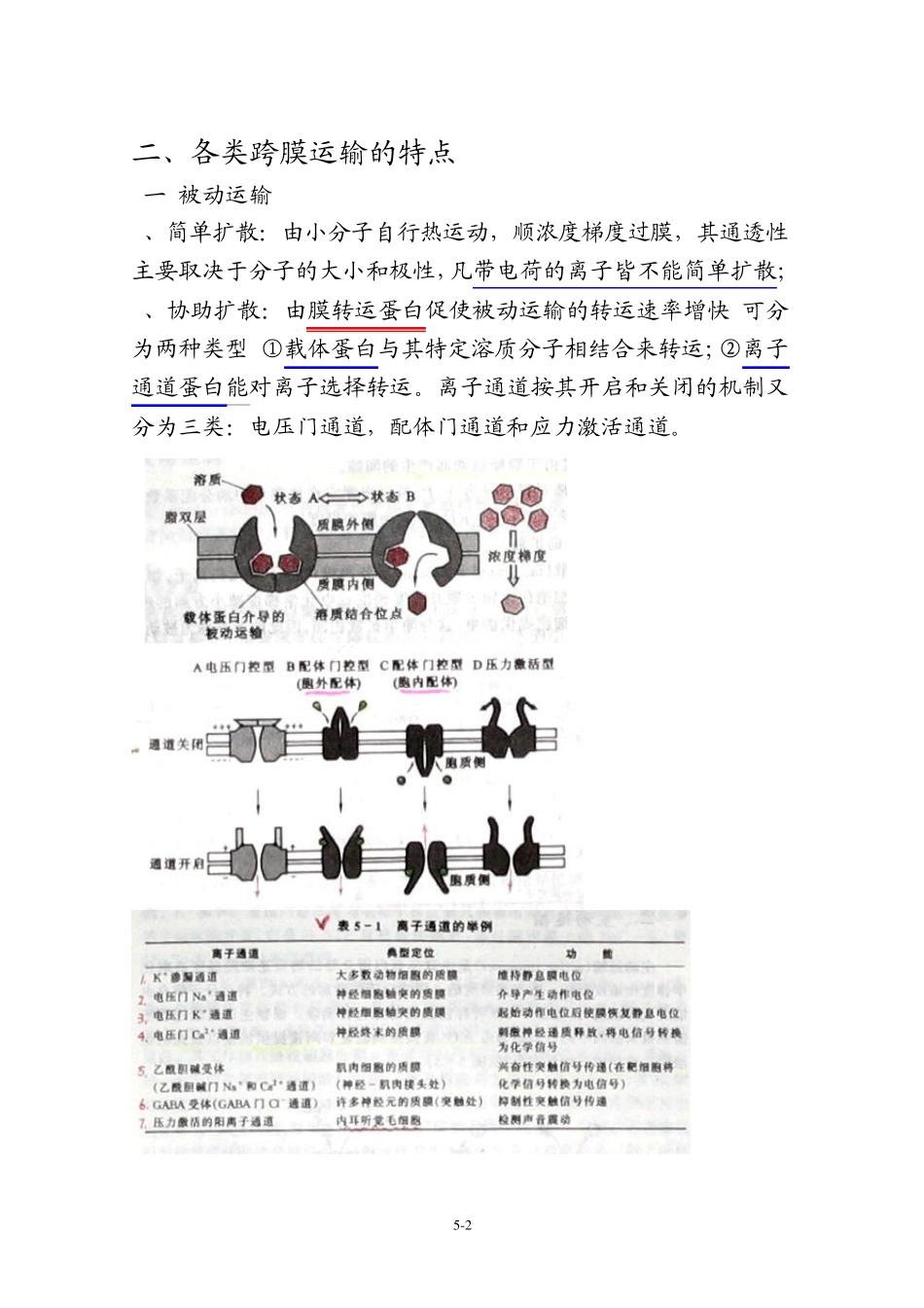 细胞生物学第五章物质的跨膜运输和第八章细胞信号转导_第2页
