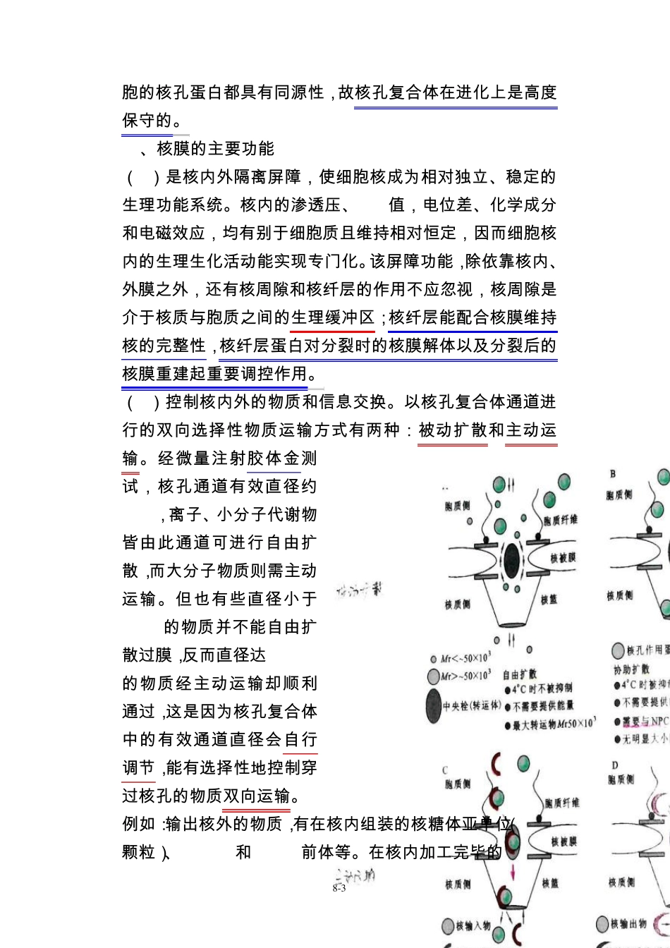 细胞生物学第十章细胞核与染色体_第3页