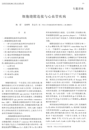 细胞缝隙连接与心血管疾病