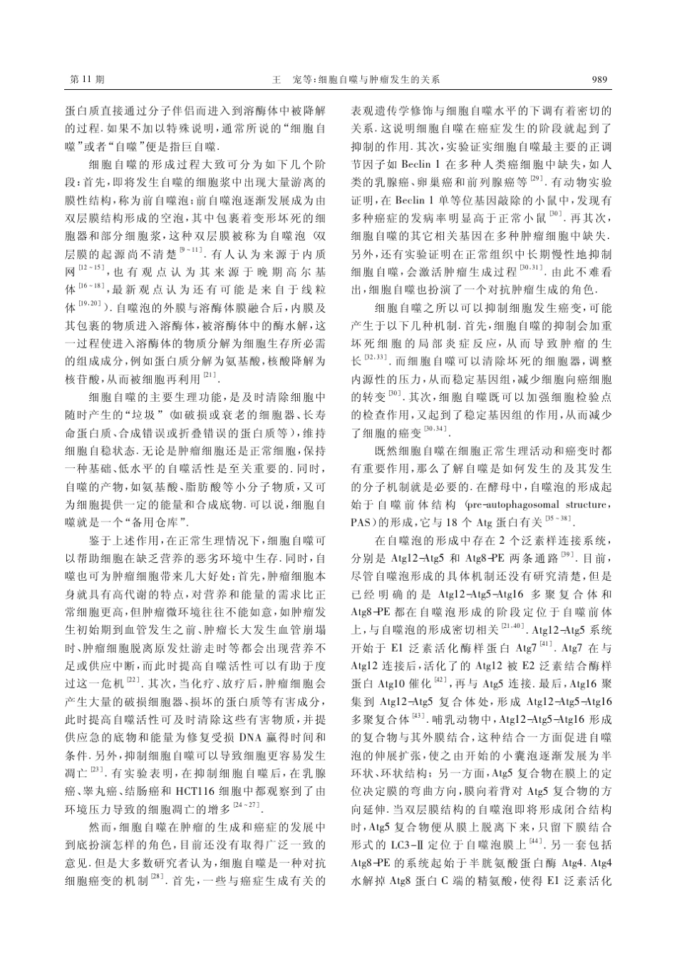 细胞自噬与肿瘤发生的关系_第2页