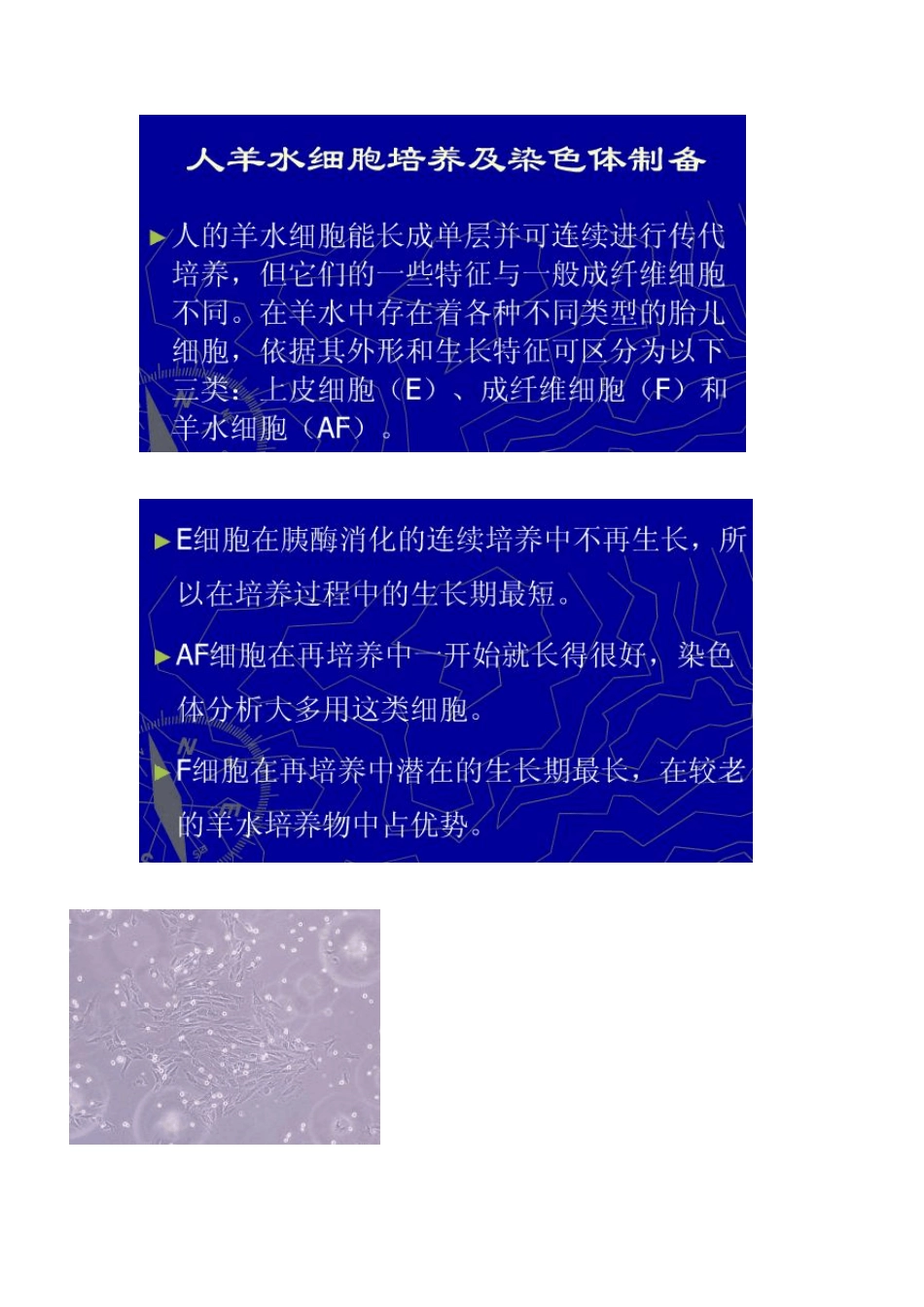 细胞贴壁原理_第3页