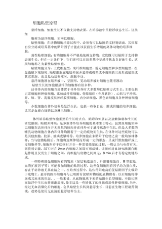 细胞贴壁原理