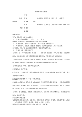 细菌和真菌的繁殖讲义